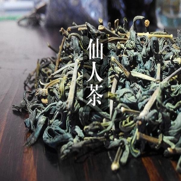 惠东仙人茶广东惠东特产