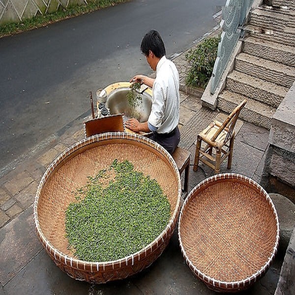 坪上炒茶广东揭阳特产